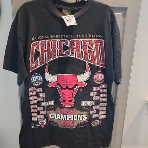 Chicago Bulls NBA Champions 1996 T-Shirt